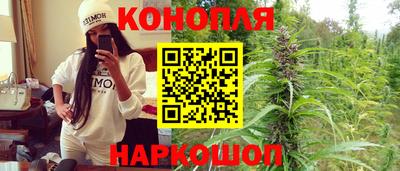 стаф Дмитров